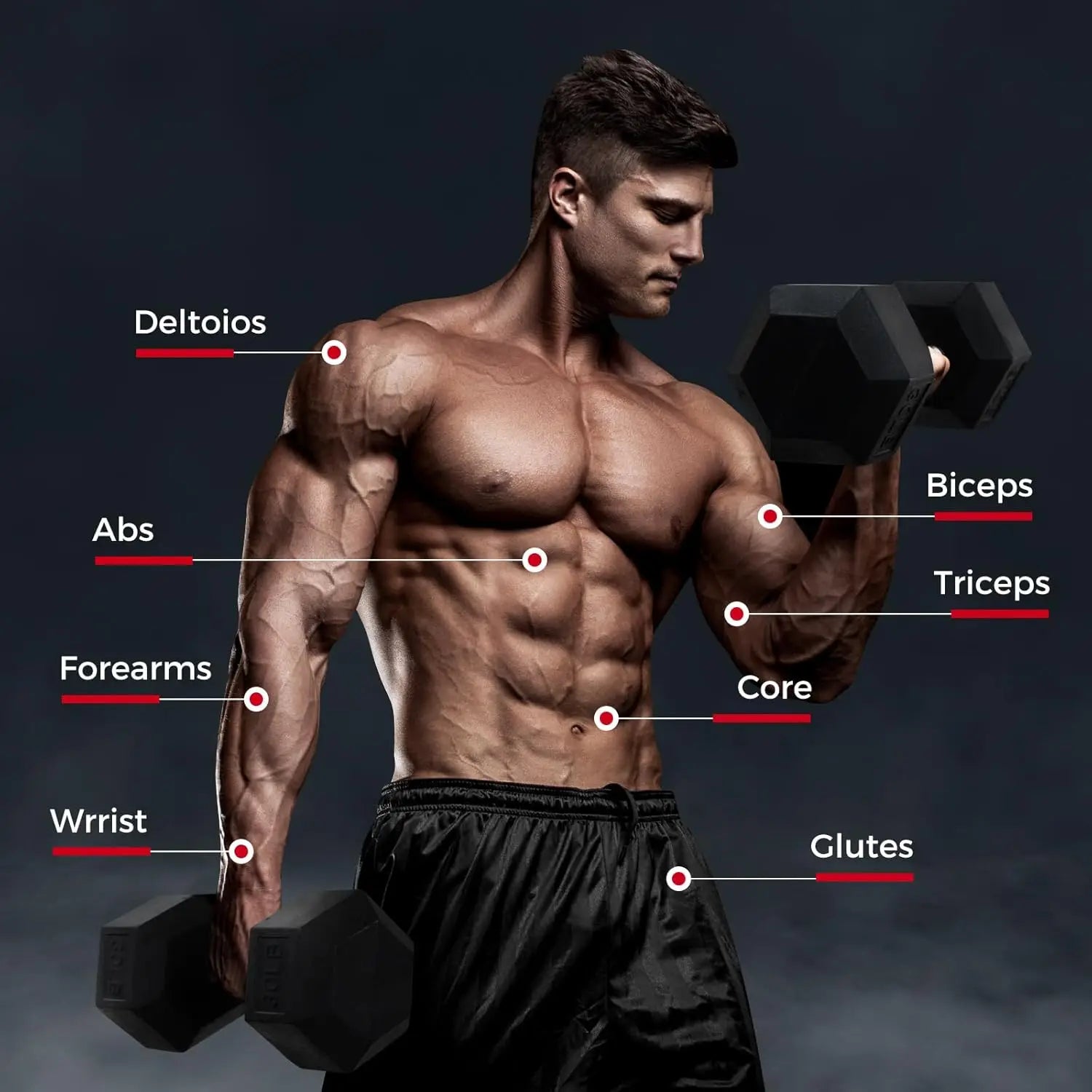 300 350 450 200 210 LB RubberDumbbells Set with Optional Dumbbell Rack Multi Weight Set to Choose Ideal for Home Gym and Fitness