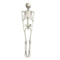 5.4FT Poseable Skeleton Prop, Movable Joint Skeleton Decoration, Life Size Plastic Halloween Human Bones Skeleton Party Supplies