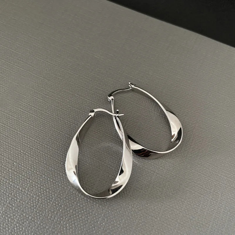 VENTFILLE 925 Sterling Silver Chunky Hoop Earrings for Women Geometric Circle Punk Ear Jewelry Party Gifts 2023 New Dropshipping