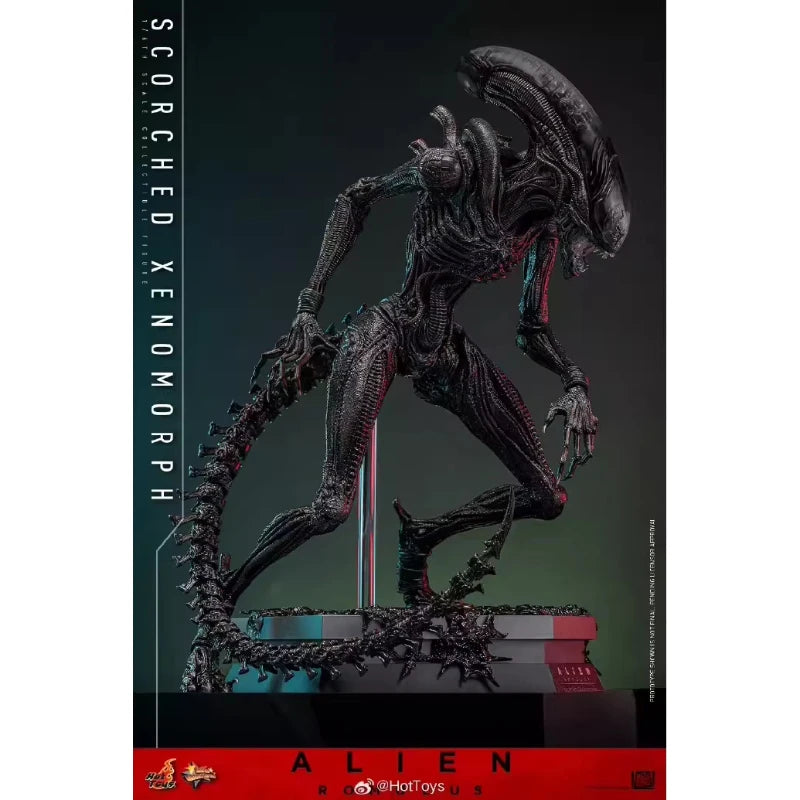 HotToys HT 1/6 Scorched Xenomorph Action Figure MMS784 Alien Romulus Articulated Collectible Model For Action Figure Collectors