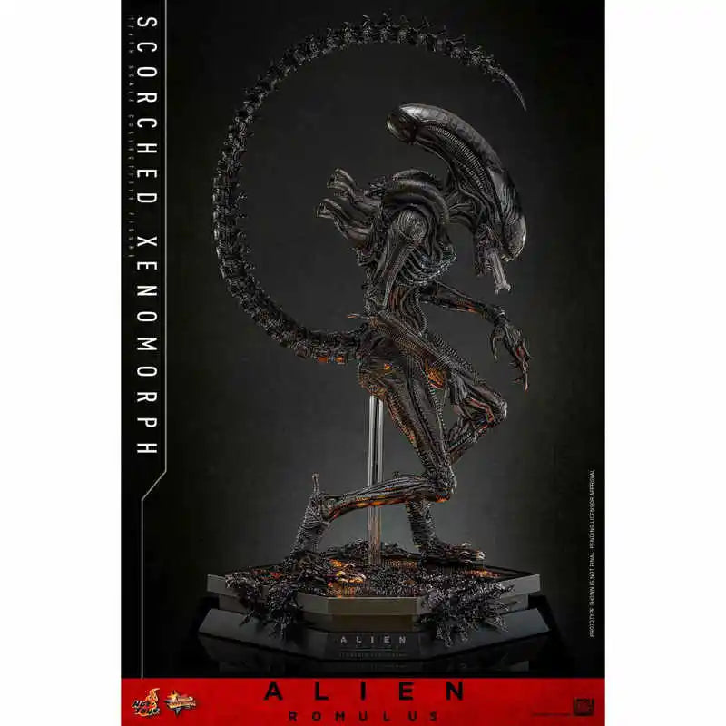 Hot Toys 1/6 MMS784 Alien Romulus Collectible Action Figure - Desktop Ornament Boy's Birthday Gift