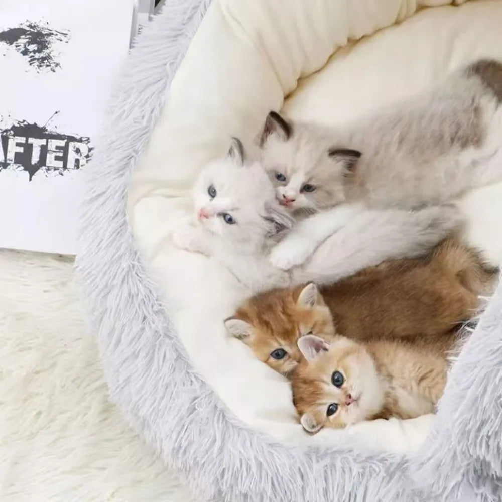 50 cm Plüsch-Haustierbett, weiches Katzenbett, bequemes Katzen-/Hundeschlafnest mit Bezug, runde Haustier-/Welpenmatratze, Katzen-/Hundeschlafnest