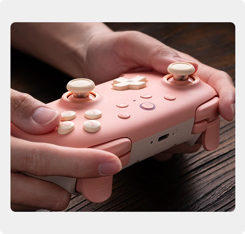 8BitDo Ultimate 2C Wireless Gaming Controller für PC, Windows 10, 11, Steam Deck, Raspberry Pi, Android Gamepad-Zubehör