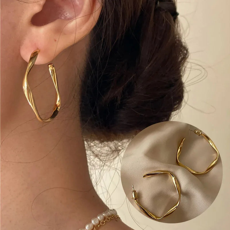 VENTFILLE 925 Sterling Silver Chunky Hoop Earrings for Women Geometric Circle Punk Ear Jewelry Party Gifts 2023 New Dropshipping