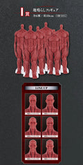 In Stock Original BANDAI Ichiban Kuji Attack on Titan Rumbling Levi Hange Zoe Eren Mikasa Figure Anime Model Genuine Boxed Toy