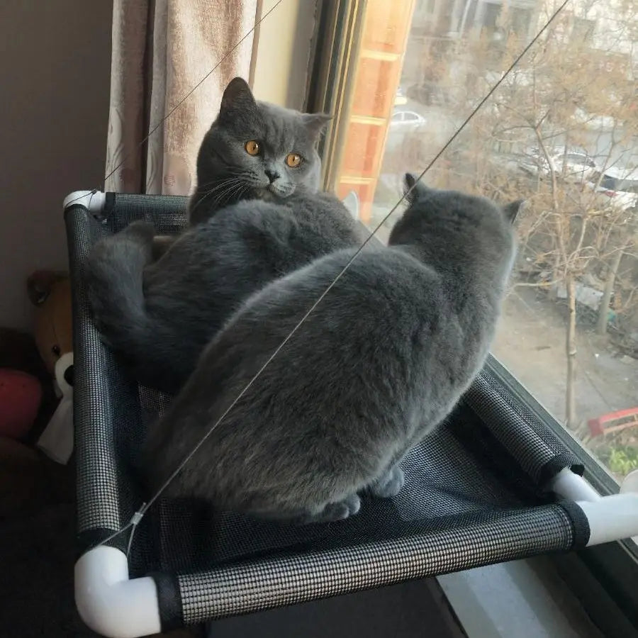 Cat Hammock Window Perch Suction Cup Pet Bed All Season Hanging Cat Nest for Balcony