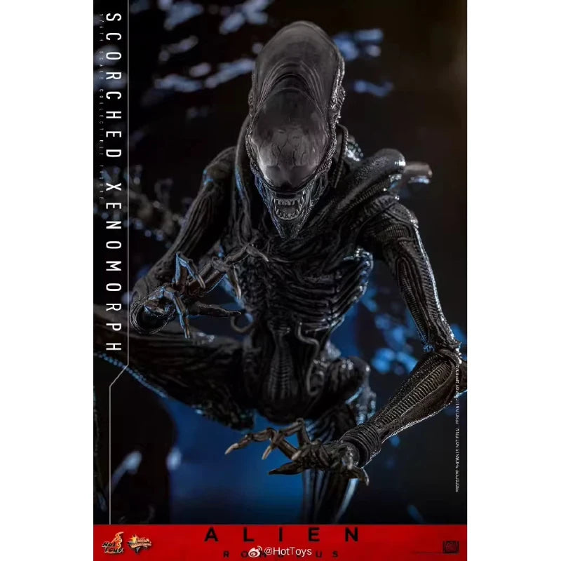 HotToys HT 1/6 Scorched Xenomorph Action Figure MMS784 Alien Romulus Articulated Collectible Model For Action Figure Collectors