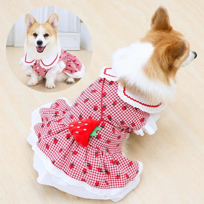 Erdbeerkleid für Hunde, Sommer, Frühling, niedlich, kariert, für Frauen, Mädchen, Welpen, Haustier, Katze, Kleidung, Kleidung, Yorkie, Chihuahua, kleine und mittelgroße Möpse