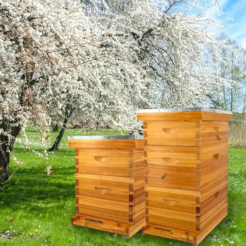 Complete 8 Frame Beehive Kit with Beeswax Coating, Includes Frames and Foundation Sheets for All Beekeeping Levels