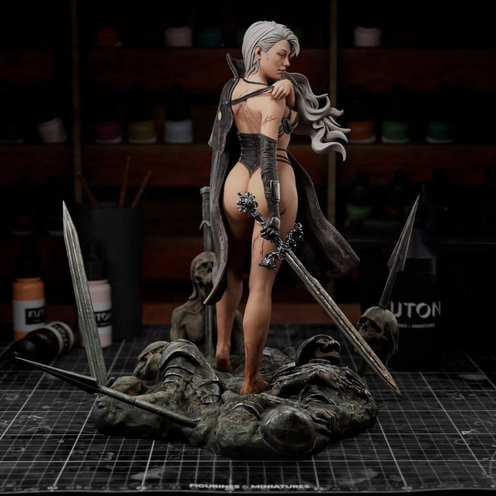 Silver-haired Female Warrior High-precision Figurine White Film Disassembly Model DIY Coloring Self-assembly Figurines Crafts