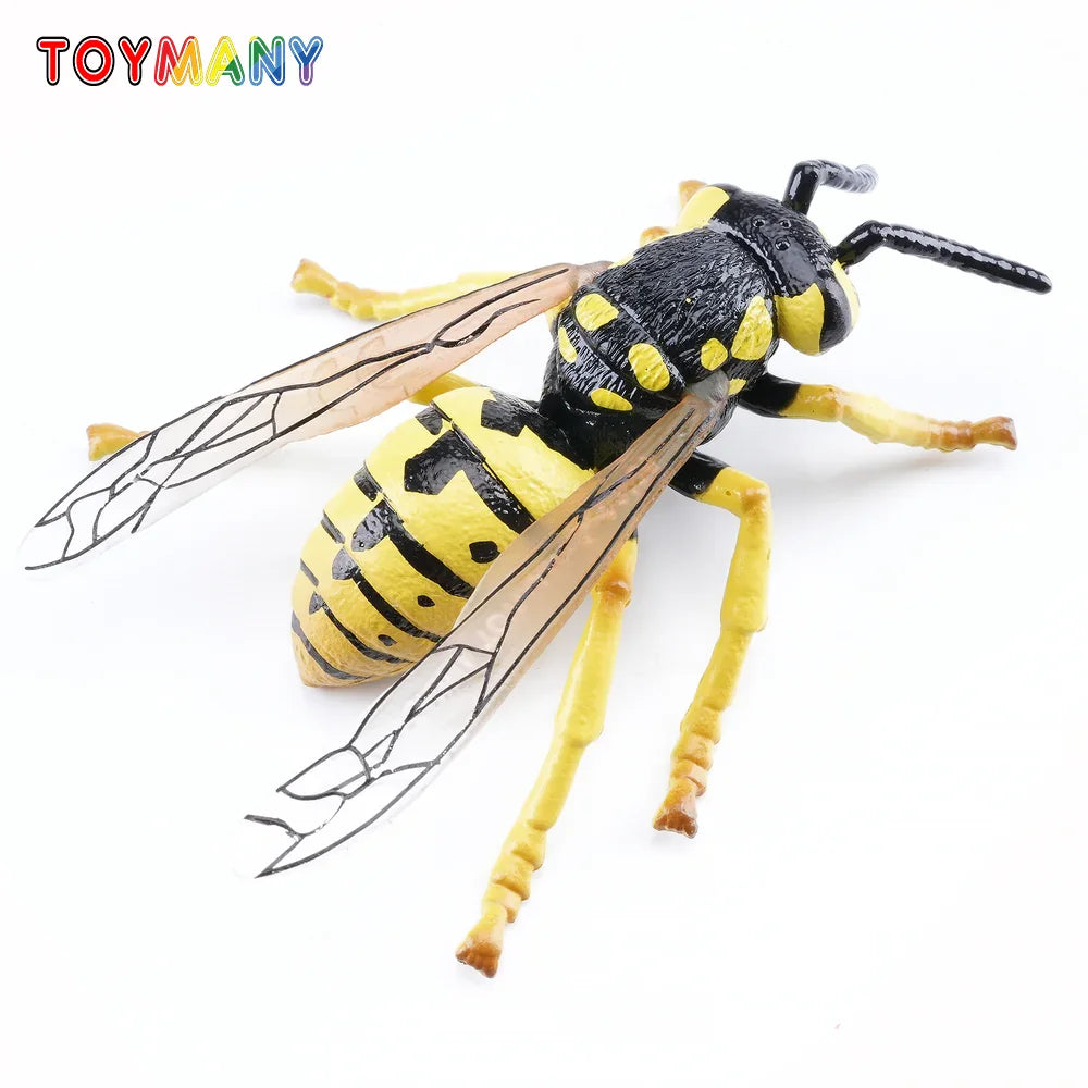 Toymany Simulation Insect & Beetle Wasp Animal Model Toy Mini Figures Dolls Action Figurines Toys Children Gift Cake Decor