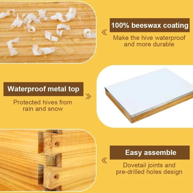 Bienenstock-Set mit 8 Rahmen und in Bienenwachs getauchtem Siebboden – Starter-Bienenstockkästen für die Bienenzucht