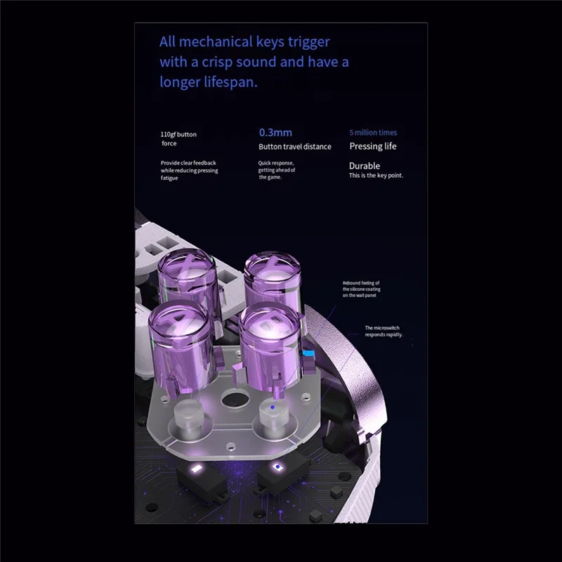 D10 Wireless Gamepad Bluetooth RGB Controller For PC/Switch Phone/Steam TMR Sticks Hall Effect Joystick Micro Triggers B