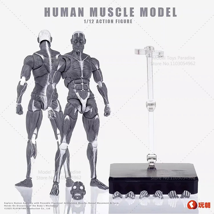 1/12 Collectible Toys Super Movable Human Muscle Painting Skeleton Soldier 6Inches Action Figure Model Gifts