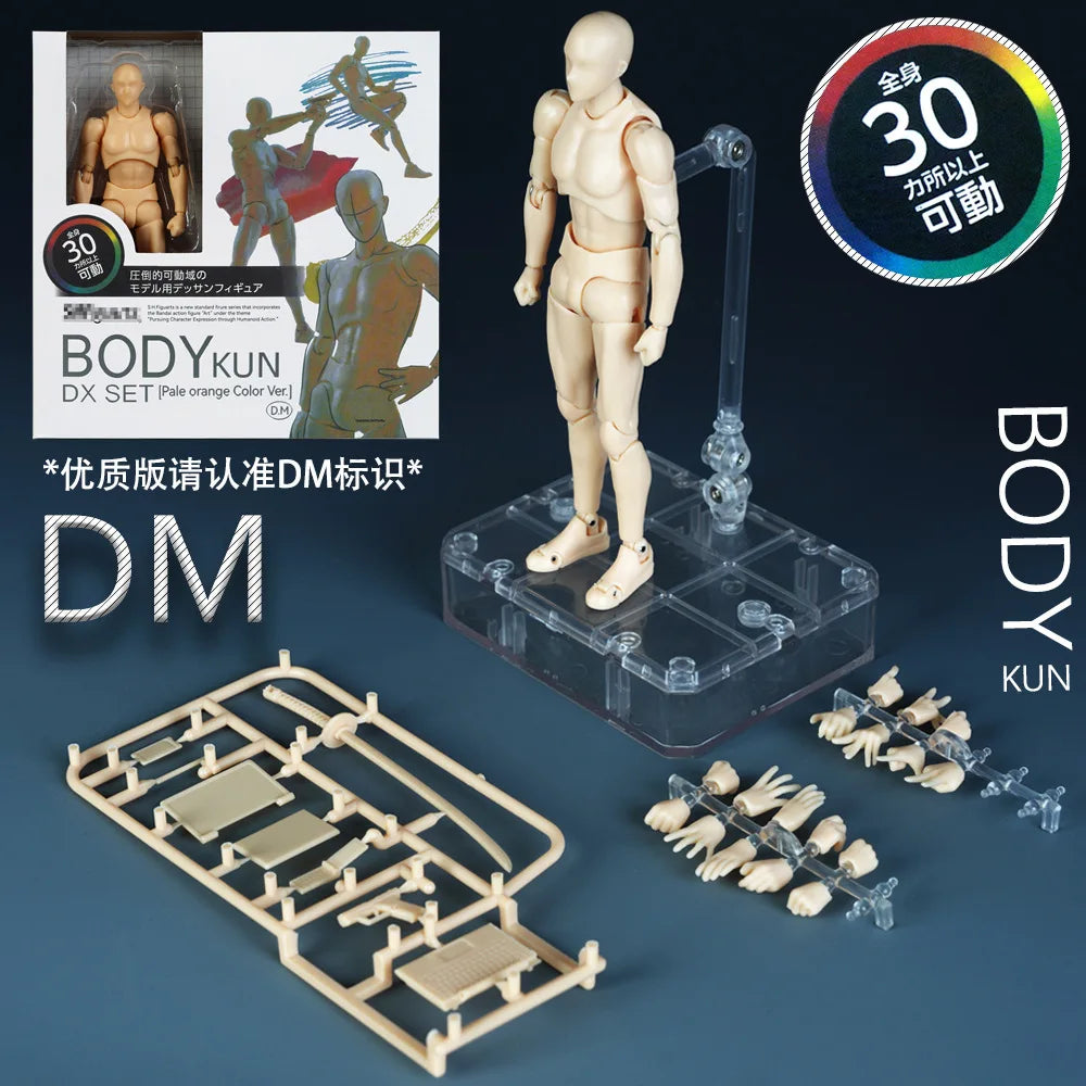 Sketch Draw Male Female Movable Body Kun Body Chan Joint Pain Anime Figure Shf Action Figure Toy Model Draw Mannequin