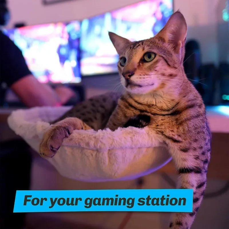 Cats Beds and Furniture Round Cats Litter Nest Desk 360° Rotating Hanging Cat Hammock Solid and Firm Cat Accessories Supplies