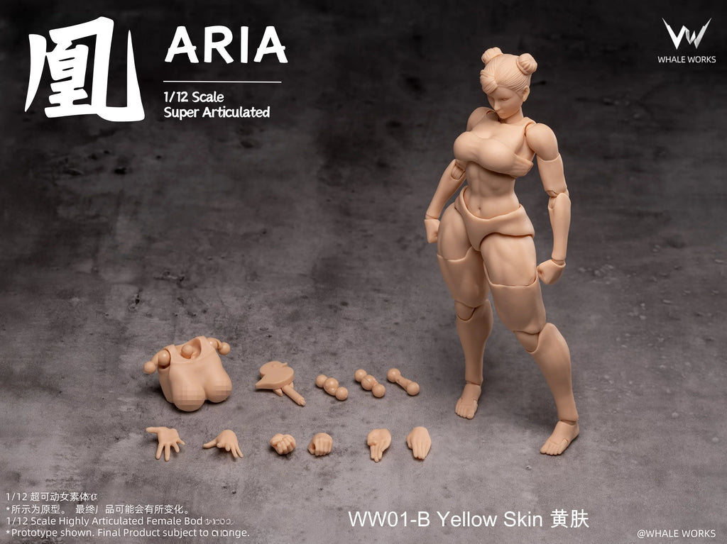In Stock WHALE WORKS WW01/02 ARIA RIN FEMALE BODY Movable Model Toys 1/12 Super Articulated Cammy White Chun Li