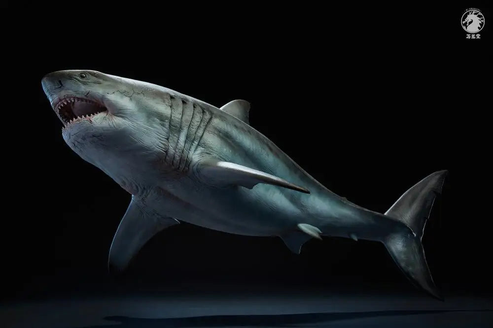 In Stock W-DRAGON Megalodon Model 1/35 45cm Static Statue Carcharocles Megalodon Paleontology Undersea Behemoth