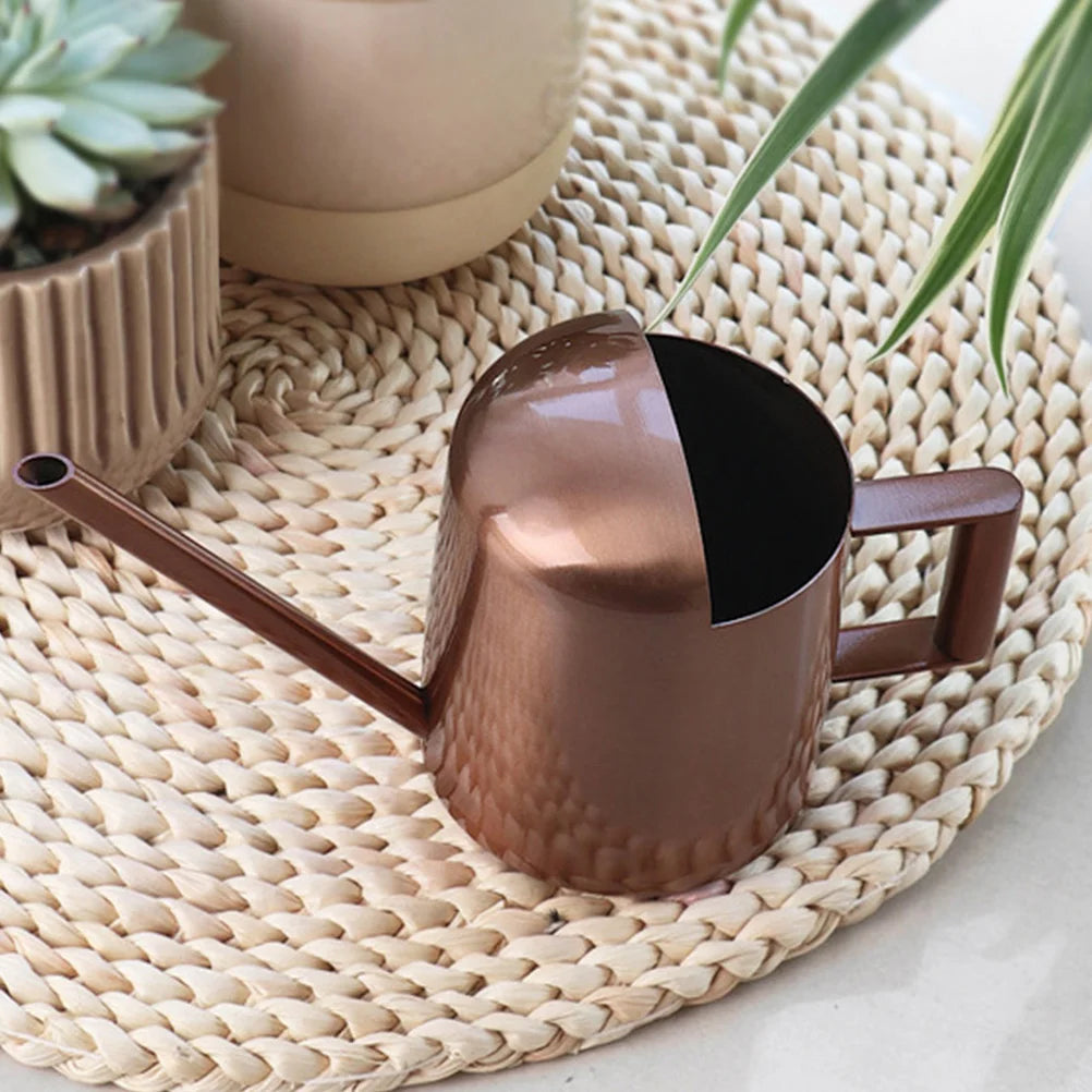 Indoor Plants Watering Can Houseplant Garden Stainless Steel Metal Brown Flower Pot Child
