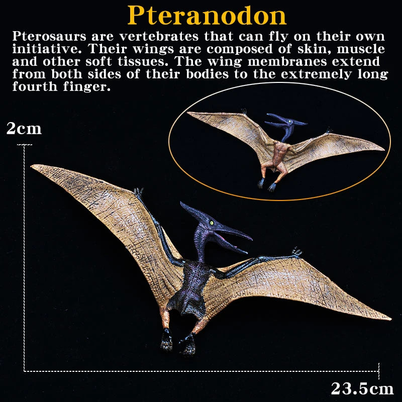 Jurassic Simulation Dinosaur Toy Pterodactyl Pteranodon Haztergo Pterosaur Model Action Figure Animal Collection for Kids Gift