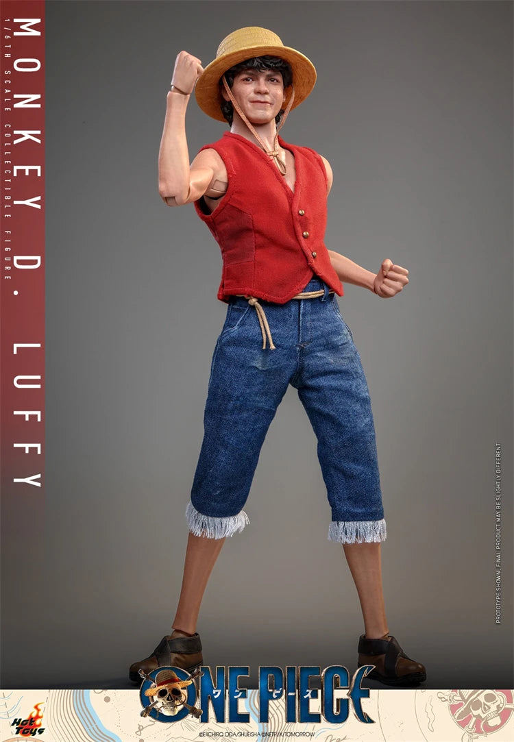 In Stock HotToys TMS109 Monkey D. Luffy TMS110 Roronoa Zoro Live Version 1/6 Anime Action Figure Toy Gift Model Collection