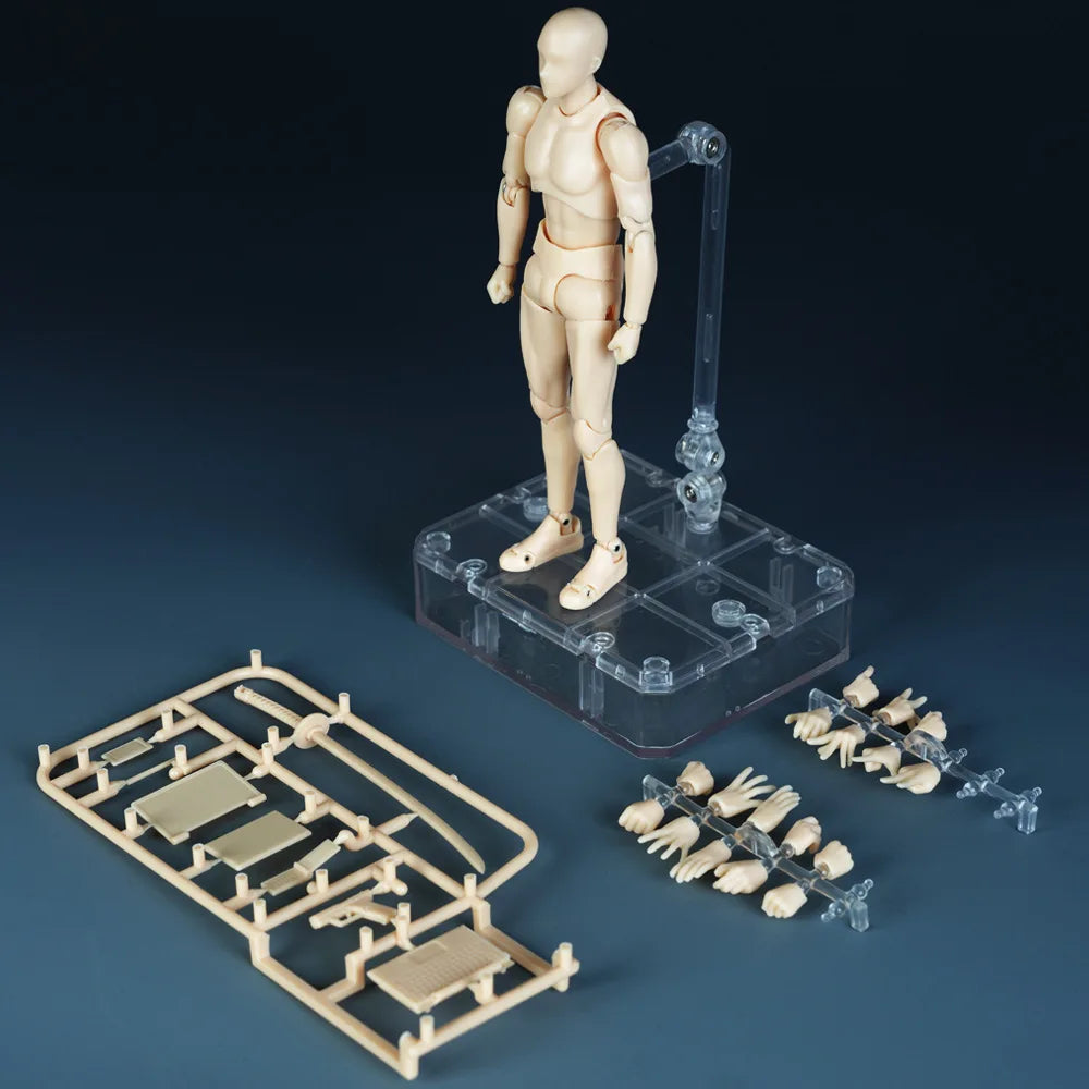 Sketch Draw Male Female Movable Body Kun Body Chan Joint Pain Anime Figure Shf Action Figure Toy Model Draw Mannequin