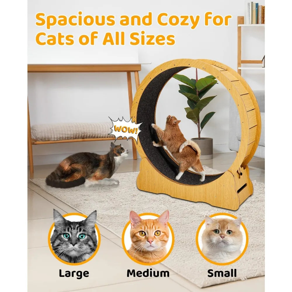 Cat Exercise Wheel for Quiet Running Indoor Use, 43.3" Cat Treadmill with Detachable Carpet, Cats Exerciser Helps Cats