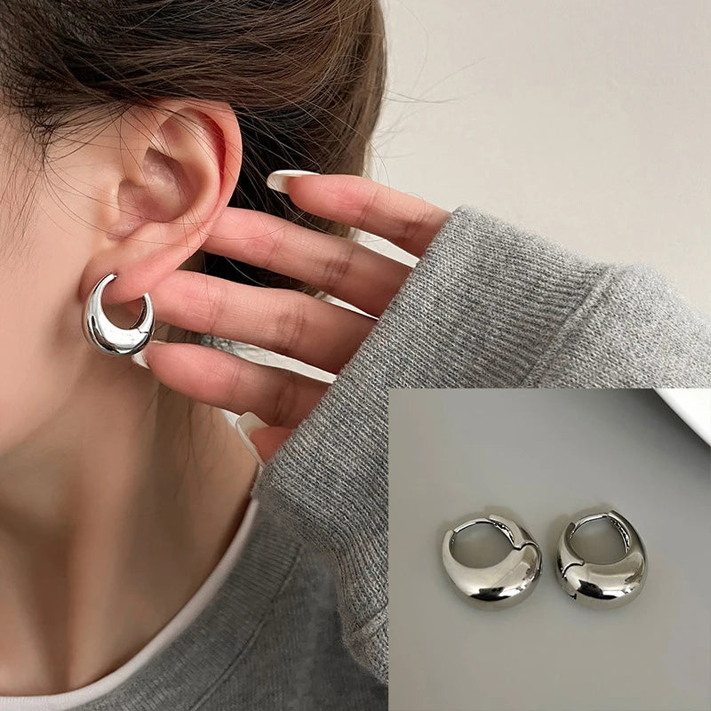 VENTFILLE 925 Sterling Silver Chunky Hoop Earrings for Women Geometric Circle Punk Ear Jewelry Party Gifts 2023 New Dropshipping
