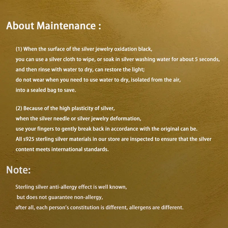 Bicycle 925 Sterling Silver Pendant Fashion Necklace Classic Womens Jewelry Girlfriend Birthday Romantic Gift For Men Souvenir