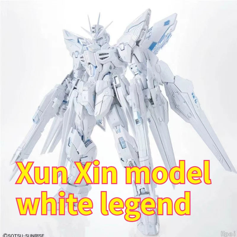 Xun Xin Model  MGEX 1/100 Zgmf-X20a Strike Freedom TWILIGHT COATING Assembly Model Kits Action Figure Robot Plastic Model Toys