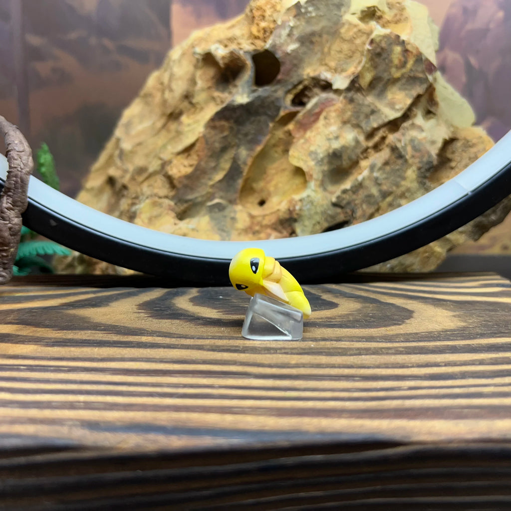 Anime Proportion Beedrill Metapod 1/20 Limited Edition Model Toy Rare Collectible Child Gift Action Figure Collectors Item