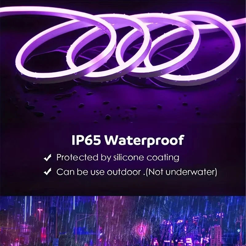 5m 12V LED Neon Strip Lights Outdoor Waterproof Silicone Neon Lamp Outdoor DIY sign Diode Tape Home Garden Decor Aquarium Light