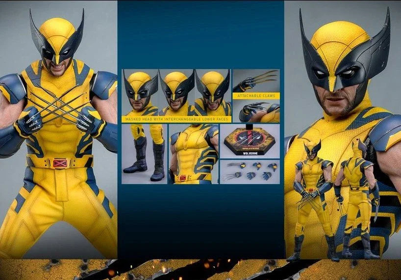 Deadpool & Wolverine Original Hottoys HT James Howlett Logan Wolverine Action Figure Collectible Model Statuette Ornaments Toys