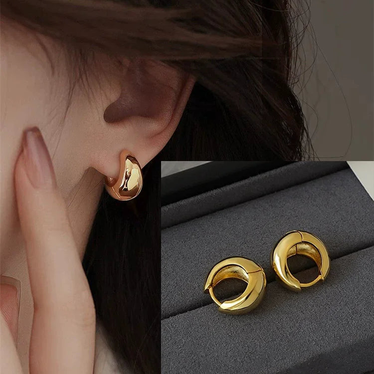 VENTFILLE 925 Sterling Silver Chunky Hoop Earrings for Women Geometric Circle Punk Ear Jewelry Party Gifts 2023 New Dropshipping