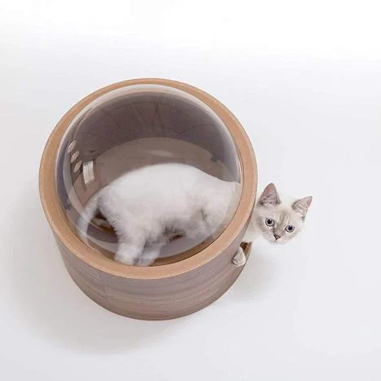 Cat play wall mounted furniture bed wood house hammock with acrylic cover