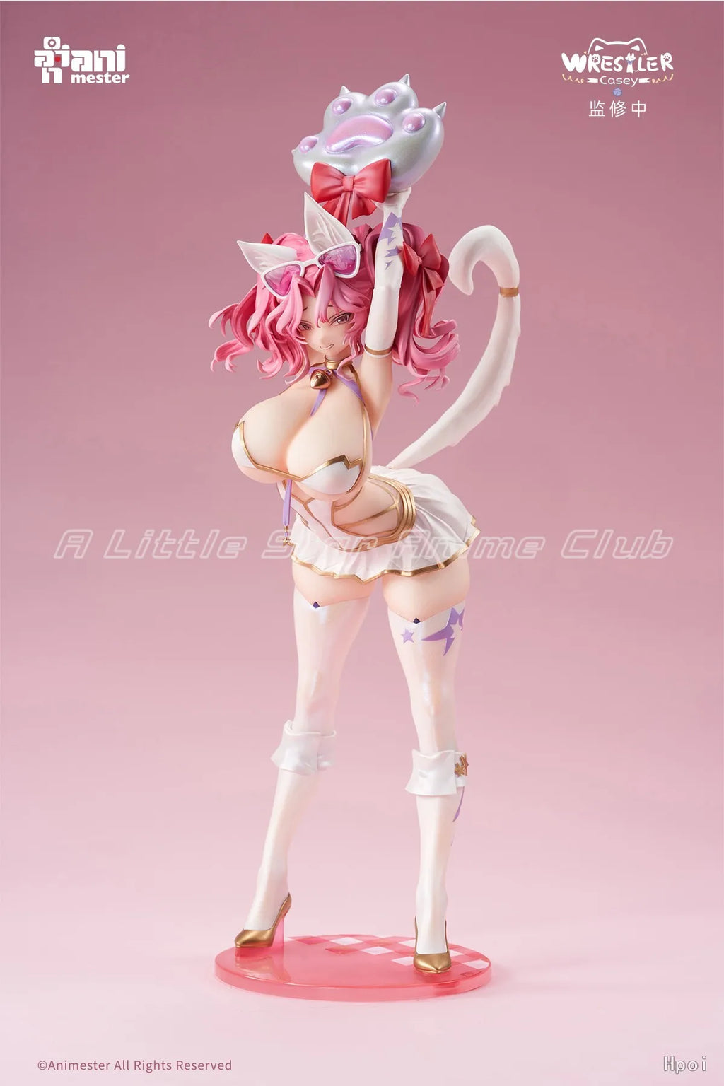 Original AniMester Merry Meow Wrestler Casey 1/6 Scale Toys Figures