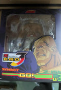 Shipping in February Original Storm Toys ST ARENA3 1/12 ARENA Sagat Anime Collection Figures Model Desktop Decoration Collection