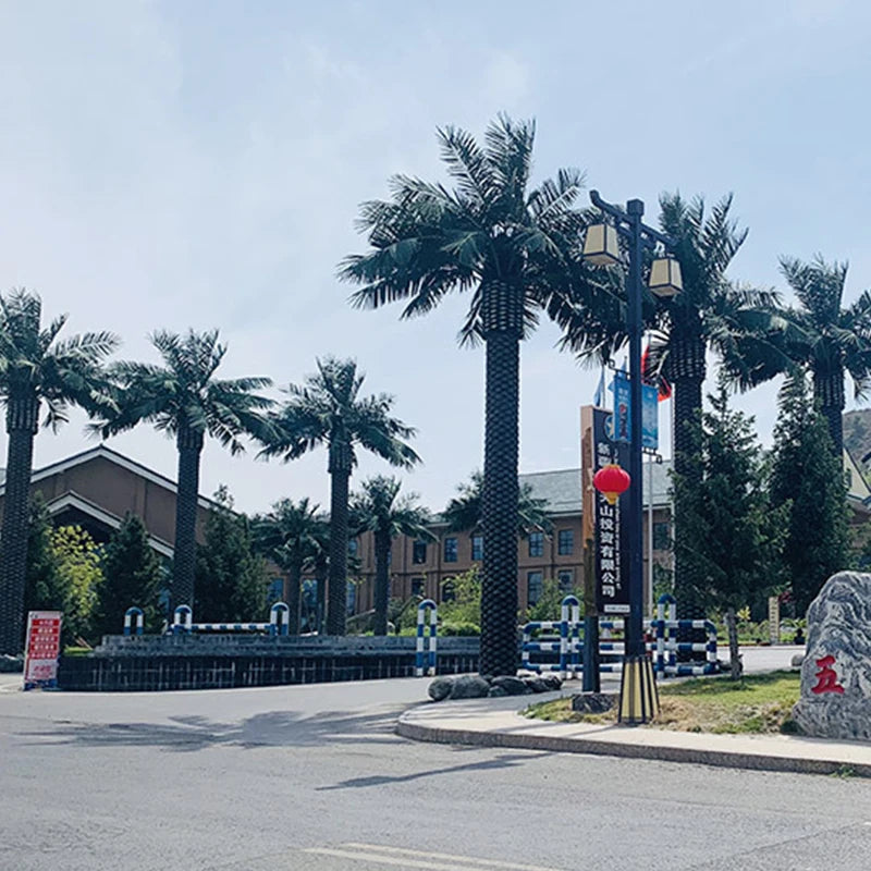 Customized 3m 5m 8m High Large Fiberglass Plastic Artificial Coconut Palm for Indoor and Outdoor Garden Decoration