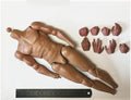 HAOYUTOYS  1/6th HHMODEL HH18022 Caesar Empire Caius Julius Royal Version Metal Chest Hang Armor Model For 12inch Action Figures