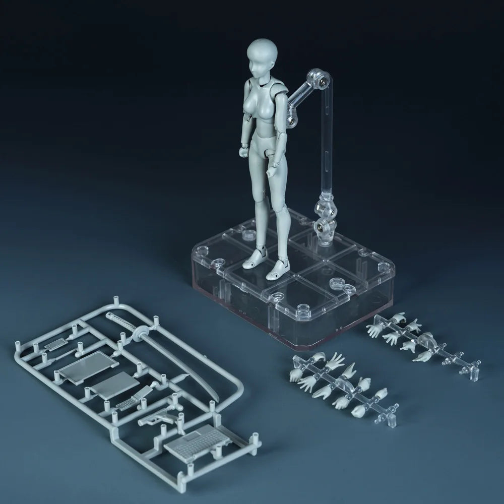 Sketch Draw Male Female Movable Body Kun Body Chan Joint Pain Anime Figure Shf Action Figure Toy Model Draw Mannequin