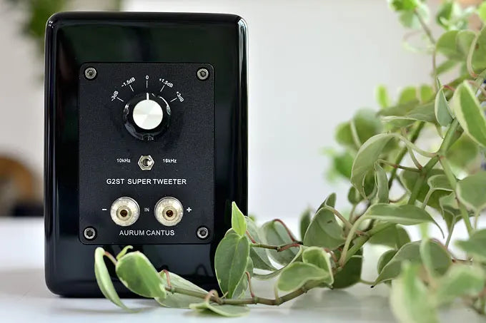 A-621 Aurum Cantus G2ST Regallautsprecher Bändchen Superhochtöner 10kHz-40kHz 92dB oder 16kHz-40kHz 94dB MDF Klavierlack 120W