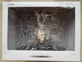 【FS】F:NEX Scale 1/7 OVERLORD Albedo Figure Model Gift Collection