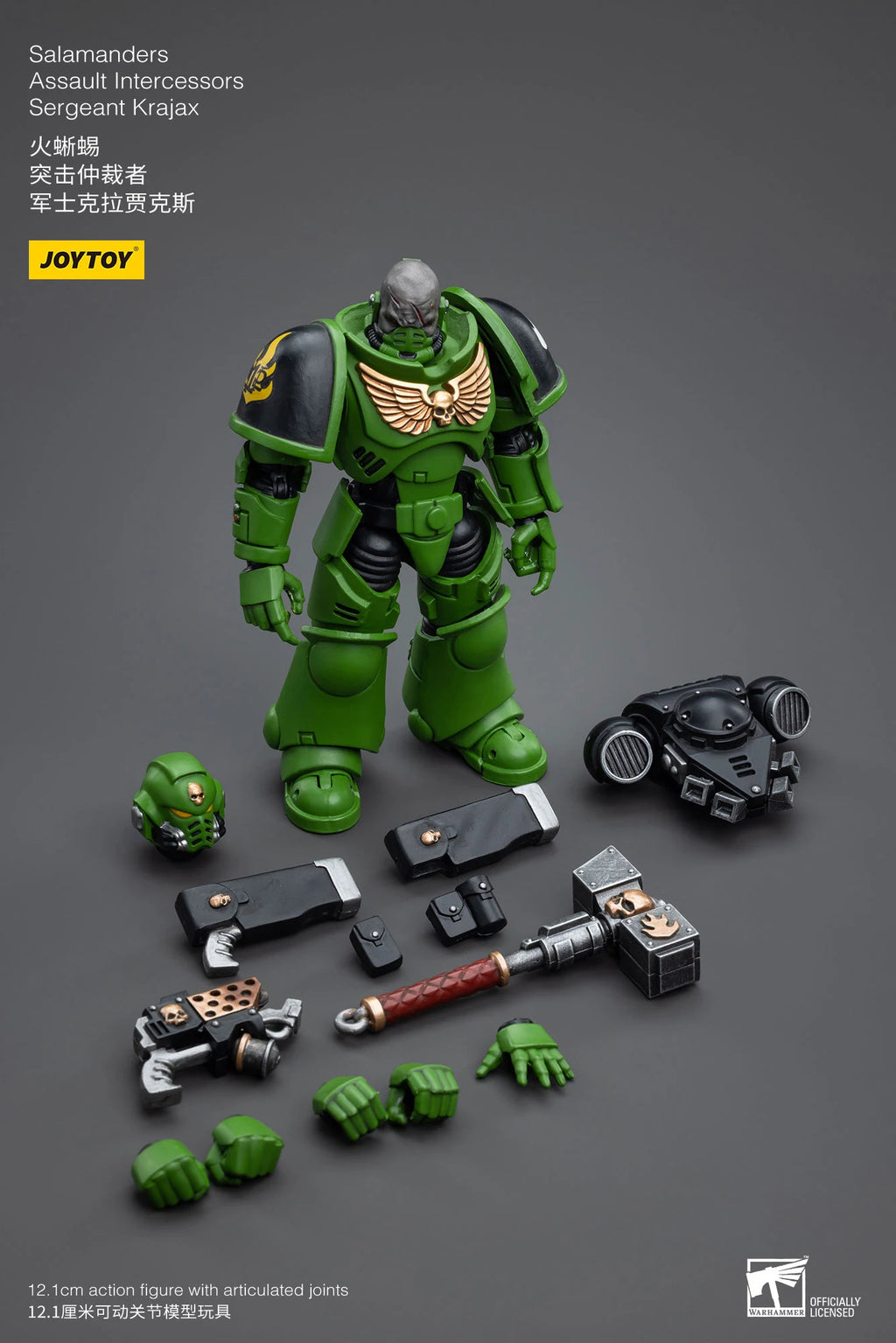 JOYTOY 40K 1/18 Salamanders Intercessors Sergeant Krajax Tsek'gan Brother Haecule Tol'vak Action Figures Model Gift for Collect