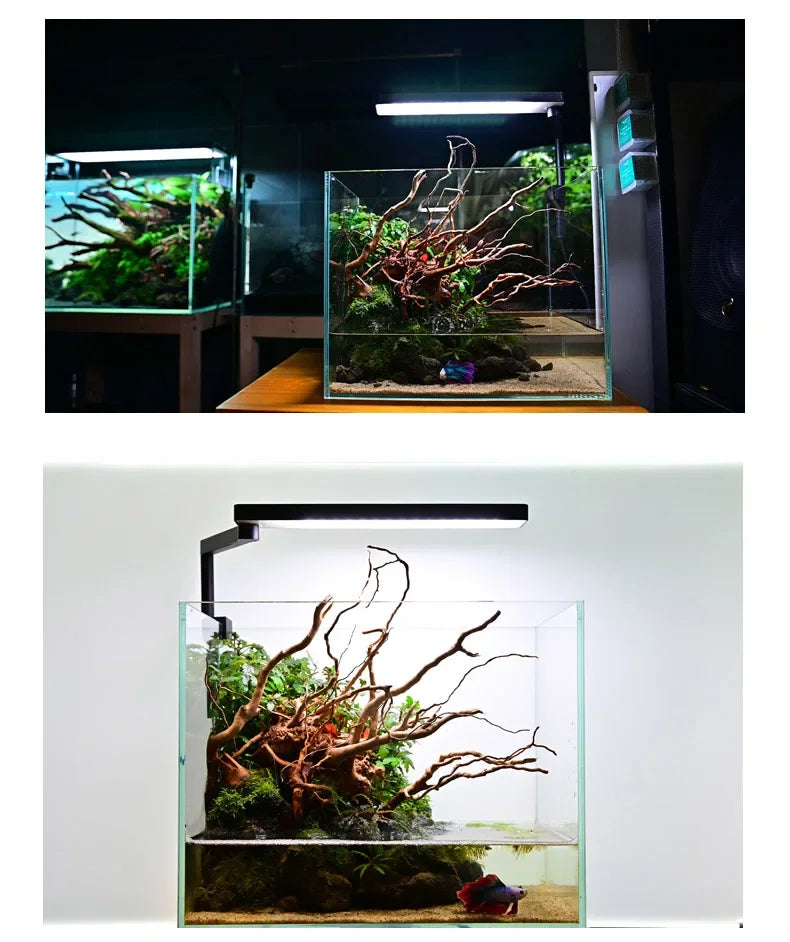Chihiros C2 CII Plant Grow Clip on LED Light Bluetooth Sunrise Sunset Lamp Aquarium Fish Tank