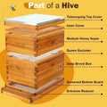 8 Frame Beehive Kit with Screened Bottom Board Dipped in Beeswax - Starter Hive Boxes for Beekeeping