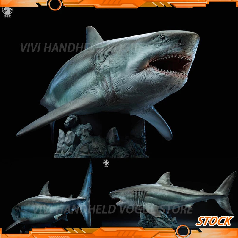 In Stock W-DRAGON Megalodon Model 1/35 45cm Static Statue Carcharocles Megalodon Paleontology Undersea Behemoth