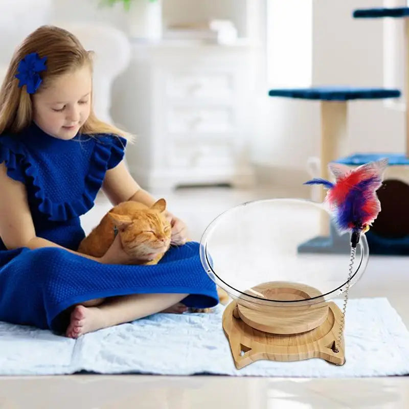 Cat Bowl Bed Cat Houses Spaceship Cat Bed Clear Cat Hammocks Cat Spaceship Cat Bed House Stable Kitten Nest For Indoor Cats