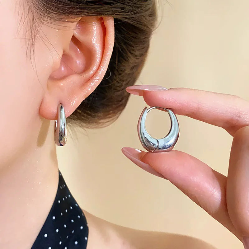 VENTFILLE 925 Sterling Silver Chunky Hoop Earrings for Women Geometric Circle Punk Ear Jewelry Party Gifts 2023 New Dropshipping