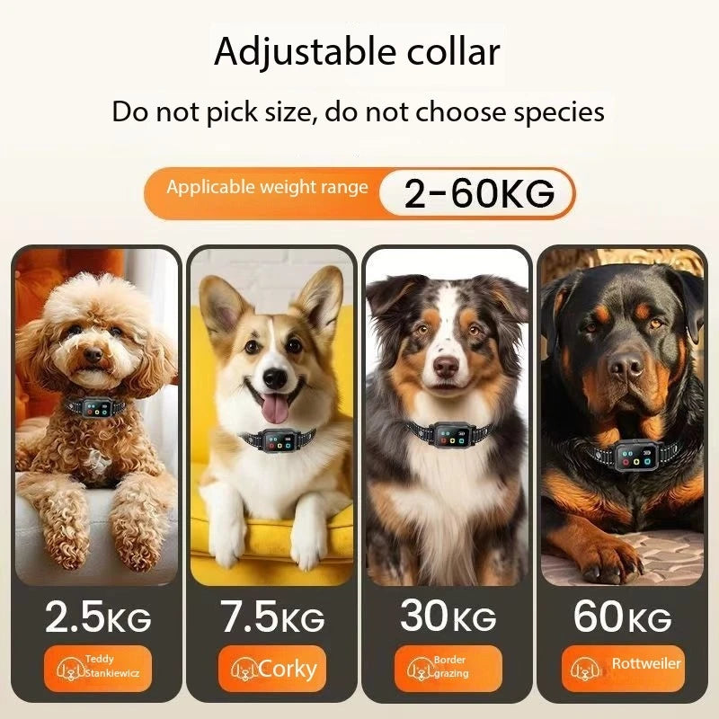 Major surround Training Collar Dog 1200m Anti Bark Dog Collar Waterproof Rechargeable Pet Remote Control Electric Collar For Dog