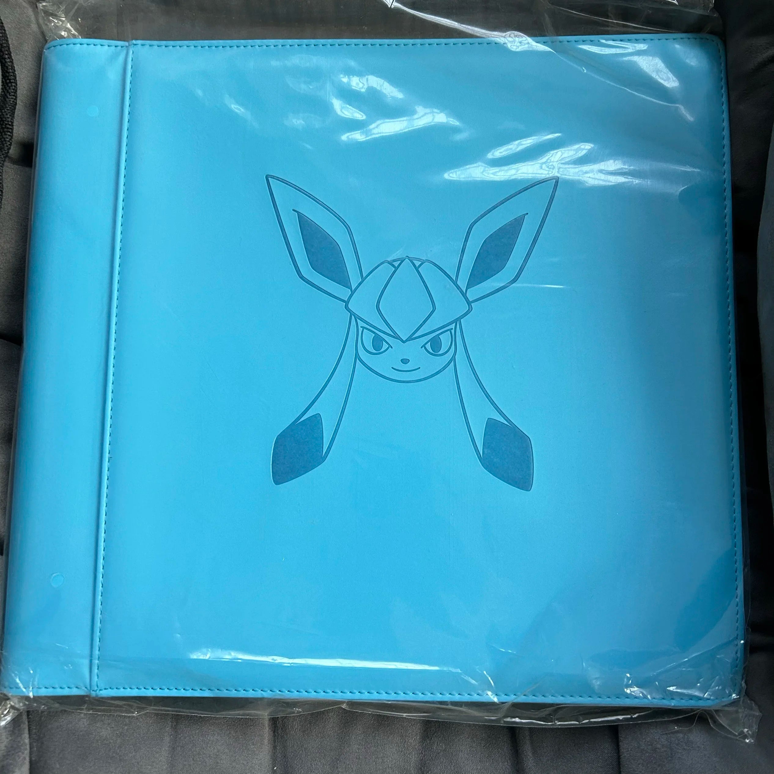 In Stock PTCG PokéMon Chinese Game Card Ibrahimovic Advanced Eeveelution Protection Register Card Book Collection Gifts